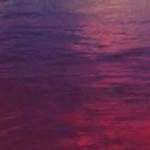 Meet your Posher, Brooklyn